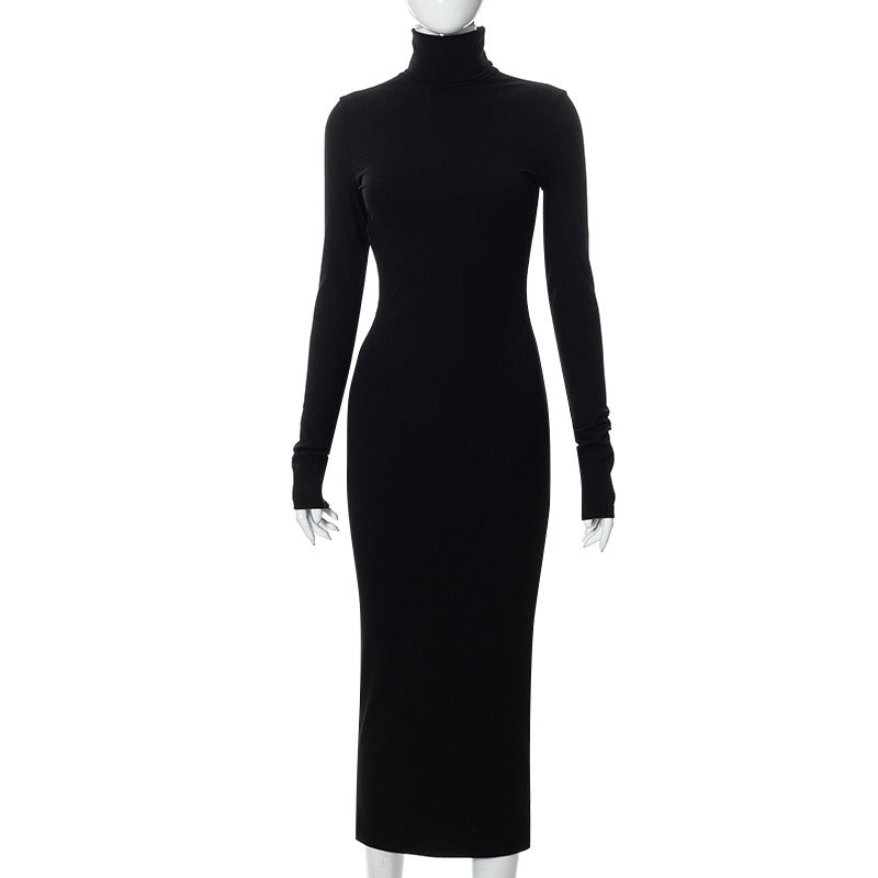 New Turtle-Neck Long Sleeve Dress